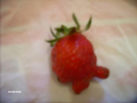 Ma Fraise